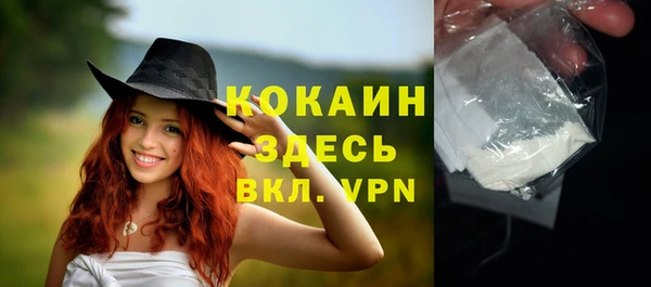 твердый Кулебаки