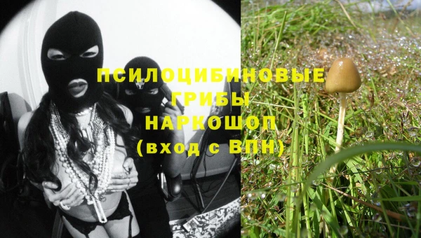 молекула духа Кукмор