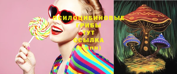 твердый Кулебаки