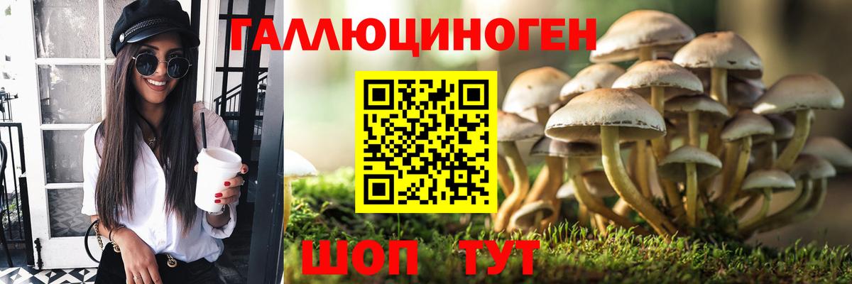 Галлюциногенные грибы Cubensis  Вход с VPN  Псилоцибиновые грибы Cubensis  Клин 